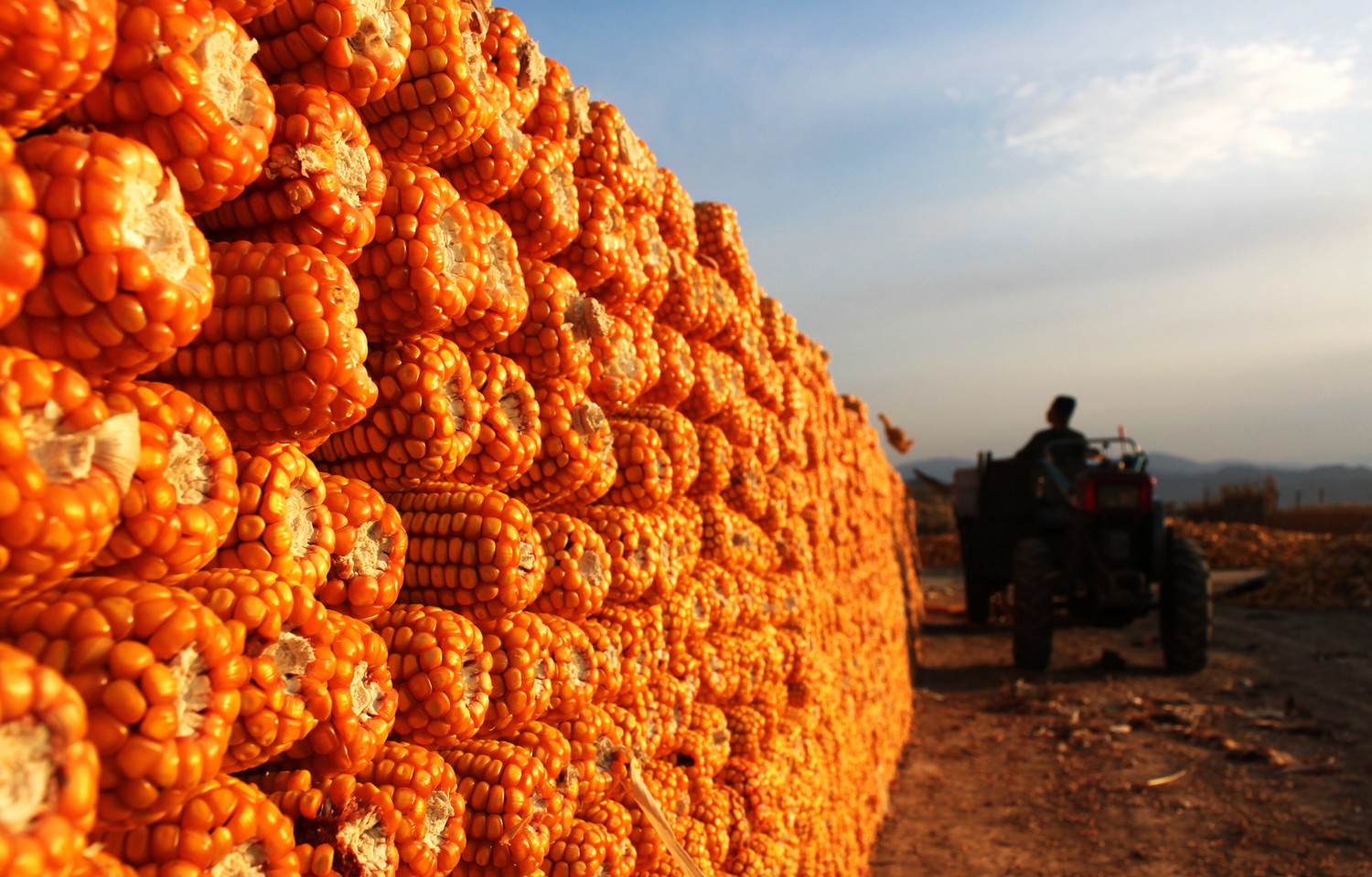 丰收快乐节,农民丰收节唱出丰收喜悦