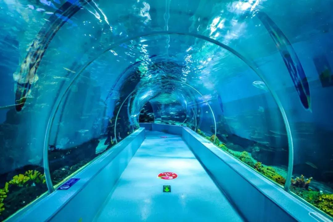 临沂海洋世界优惠券,临沂海洋世界特惠票