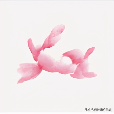 写意牡丹画法教程,零基础入门画法教给孩子,这样画简单又好看