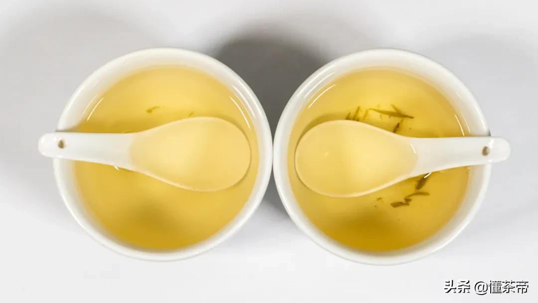 信阳毛尖绿茶测评,信阳毛尖评测