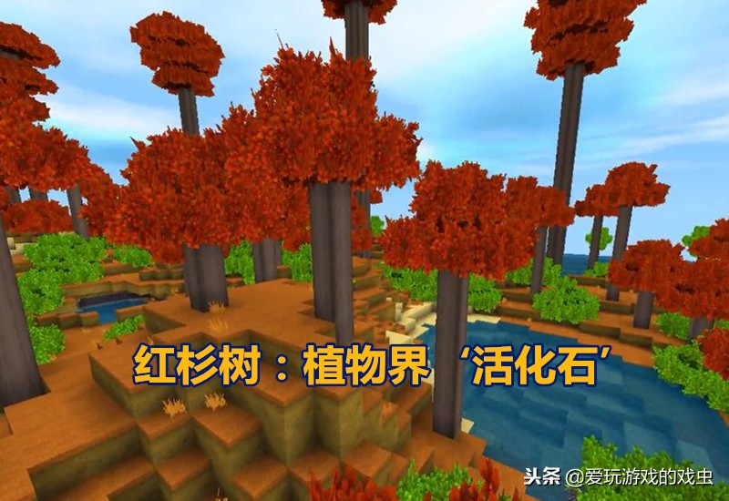 迷你世界里面的速龙是怎么驯服的,迷你世界速龙在哪找