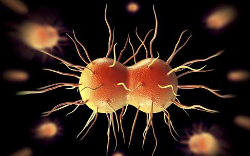 常见的性传播的疾病及预防措施,六种性传播疾病通过什么传播