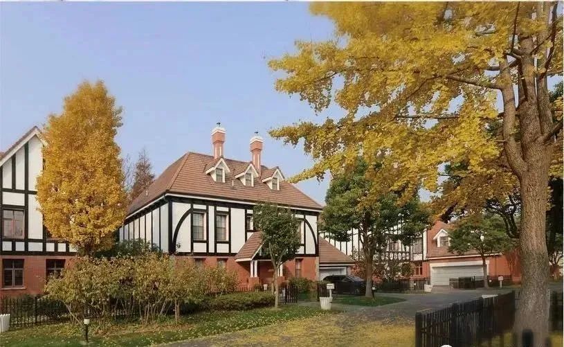 最高一套8000万！戴口罩排队抢豪宅竟然打起来了