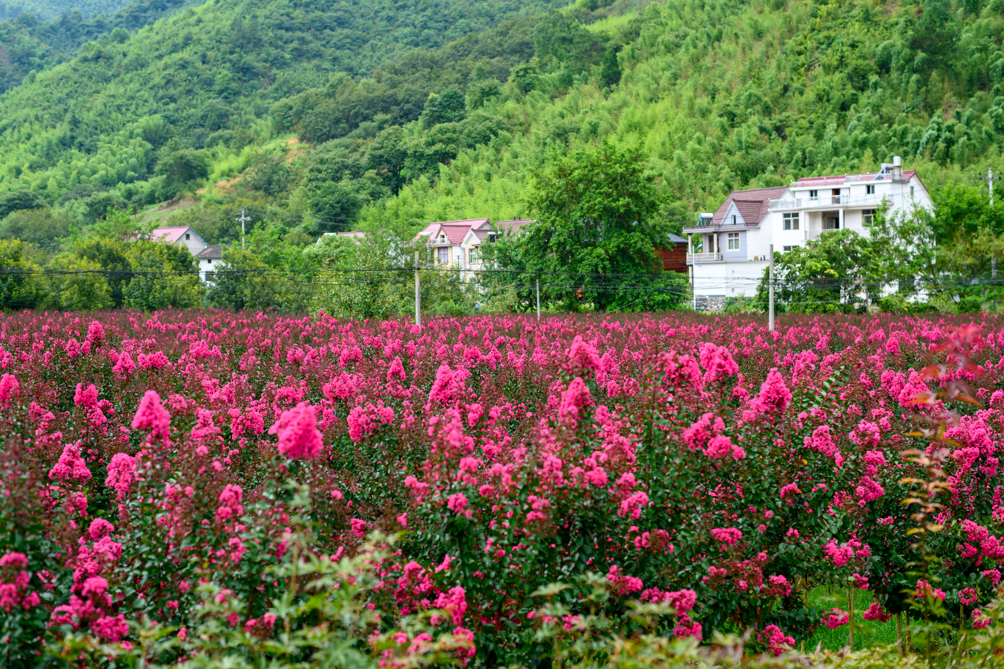安徽宁国有哪些旅游景点,安徽宁国旅游必去十大景点有哪些