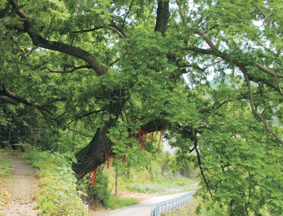 宁波周边40条登山步道古道推荐,宁波江北荪湖登山步道视频