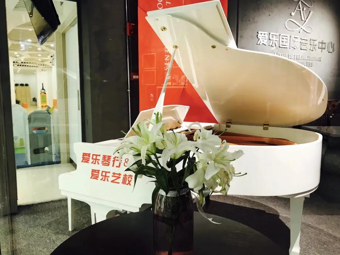 爱乐钢琴教育优惠团购,爱乐钢琴团购