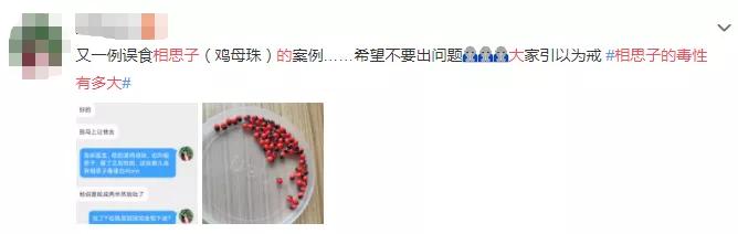 看起来很好看但是有剧毒的植物,好看但是有剧毒的植物