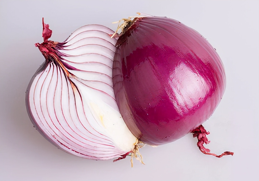 狗狗呕吐的症状及解决方法,狗狗出现呕吐的原因以及处理方法