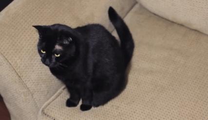 醋的10种生活方法,10种醋的生活方法