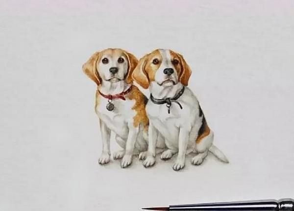 看透人心不说破的句子，多读几遍提神醒脑！