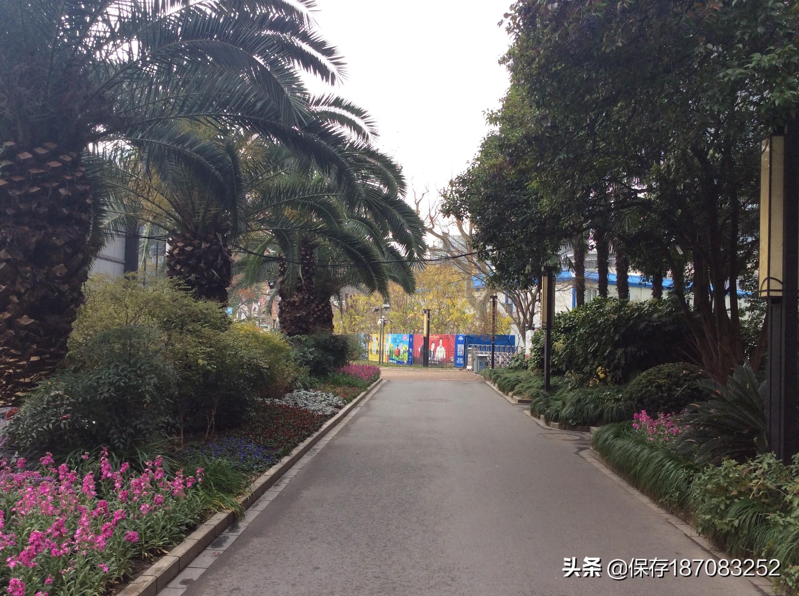 上海普陀山公园,普陀区长风公园在哪