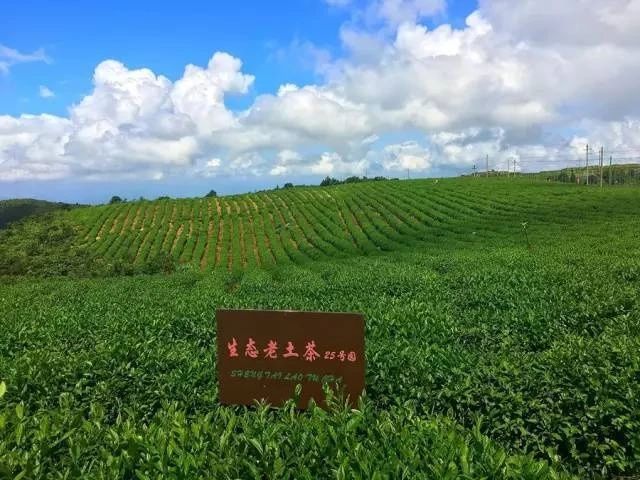 风情小镇|世界矾都，明矾故里