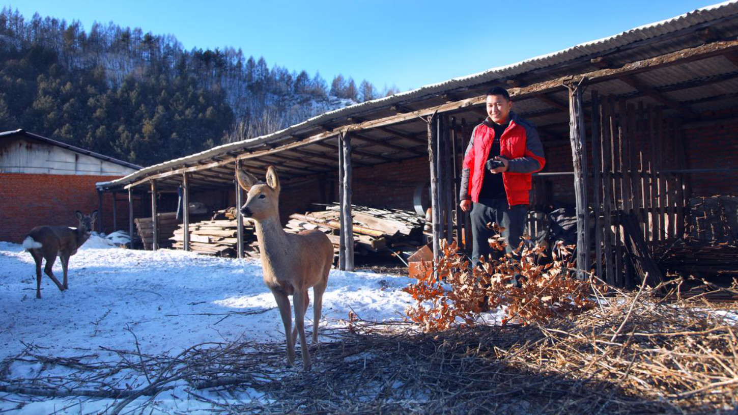 记录农村生活的东北网红,东北网红记录乡村生活