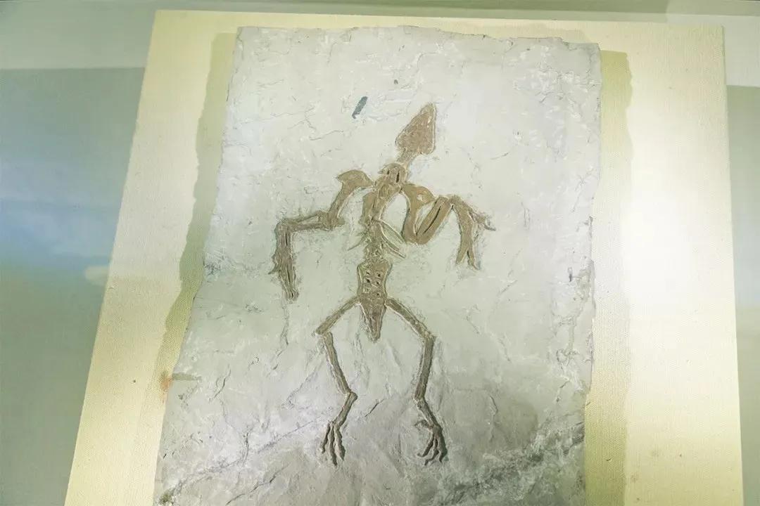 深圳翻身地铁成网红打卡地,深圳网红打卡地点富士康光明小镇