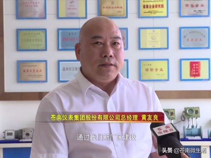 苍南仪表集团科技园,苍南仪表厂简介