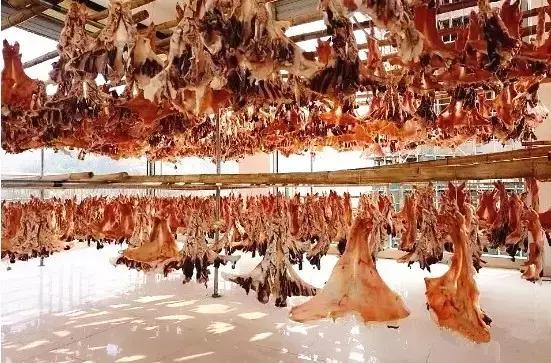 广东居然藏着一个神秘天坑,广东这座小镇藏着多少宝藏