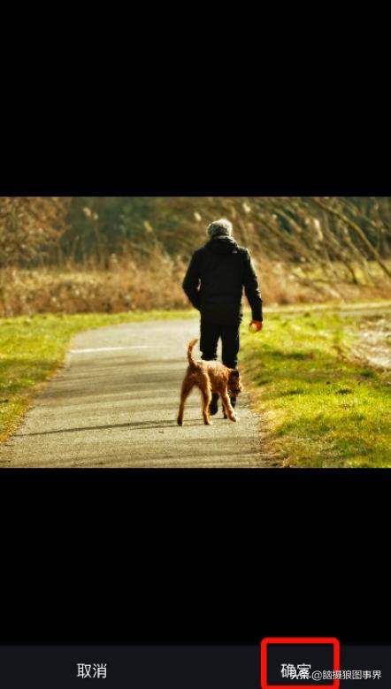 什么软件给照片加边框,什么app可以给照片加画框