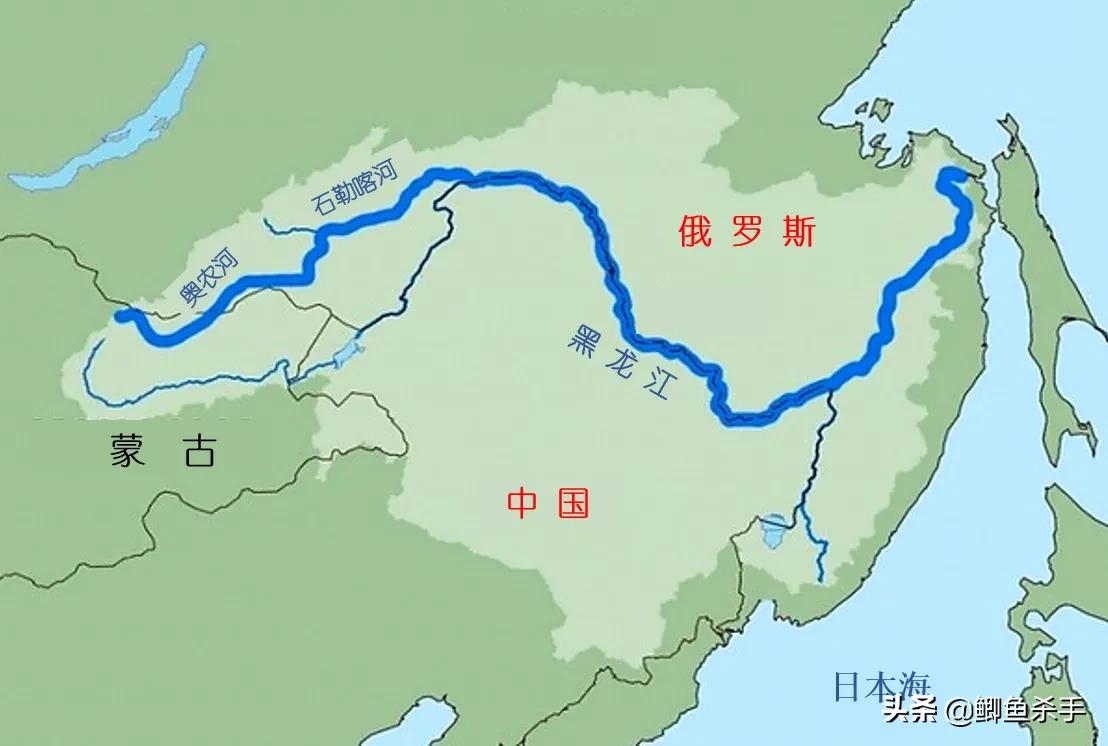 达氏鳇野外灭绝,黑龙江达氏鳇灭绝了吗