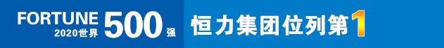 恒力集团营口康辉石化有限公司,营口康辉石化有限公司招聘信息