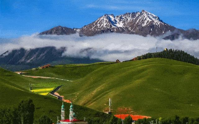 青海十大特产是哪些,青海有名的特产有哪些呢