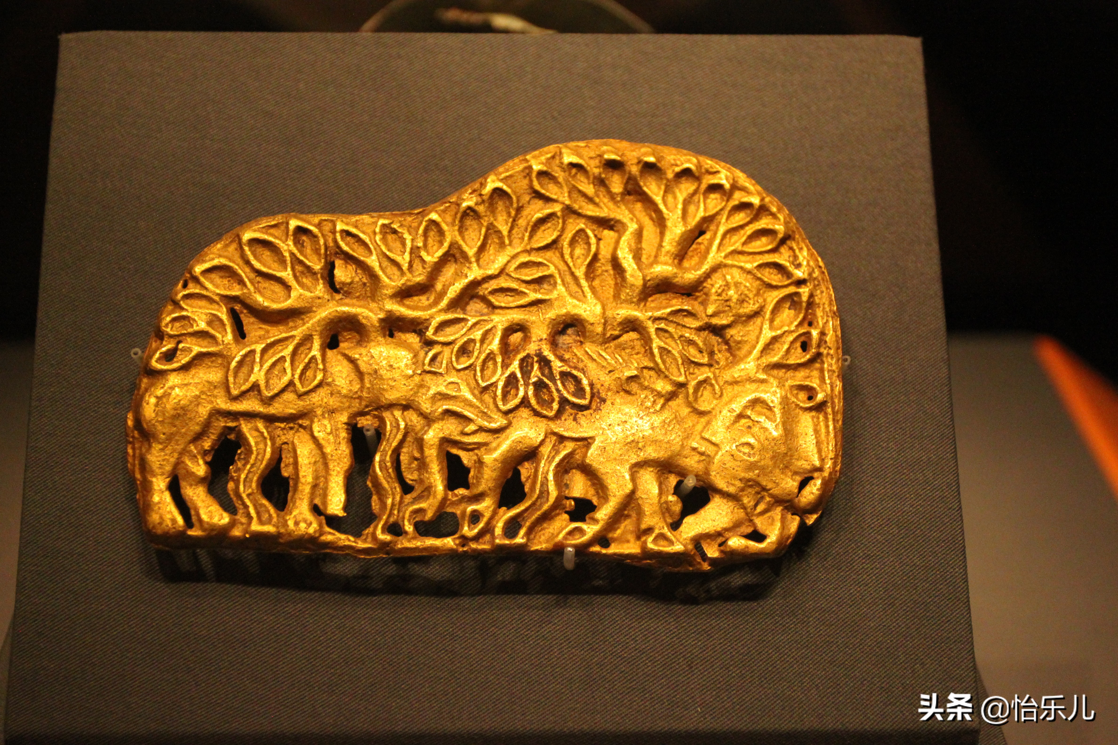 都兰热水墓被盗文物,都兰热水一号大墓出土文物