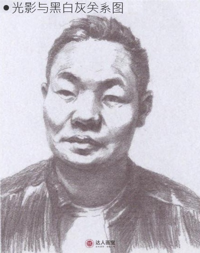 素描关系五大调子,素描五大调子的明暗对比顺序