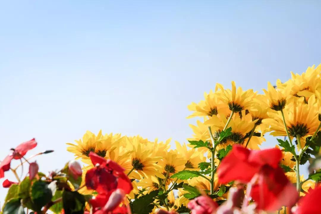 如今的世界之窗,介绍世界之窗