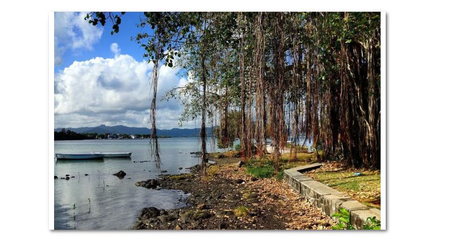 火山岛留尼汪,留尼汪岛的真实生活