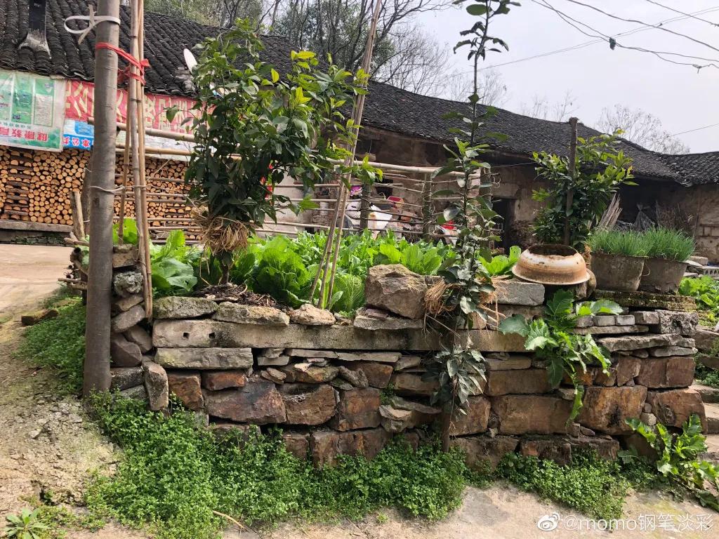 90后小姐姐在家里画画,90后小姐姐画画图片