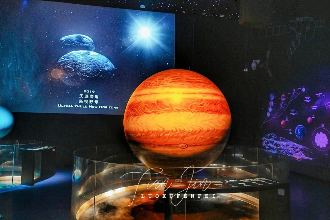 滨海新区海洋博物馆怎样预约,天津滨海亲子游最佳地点