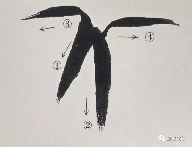 竹叶的画法模板,竹叶的钢笔画法