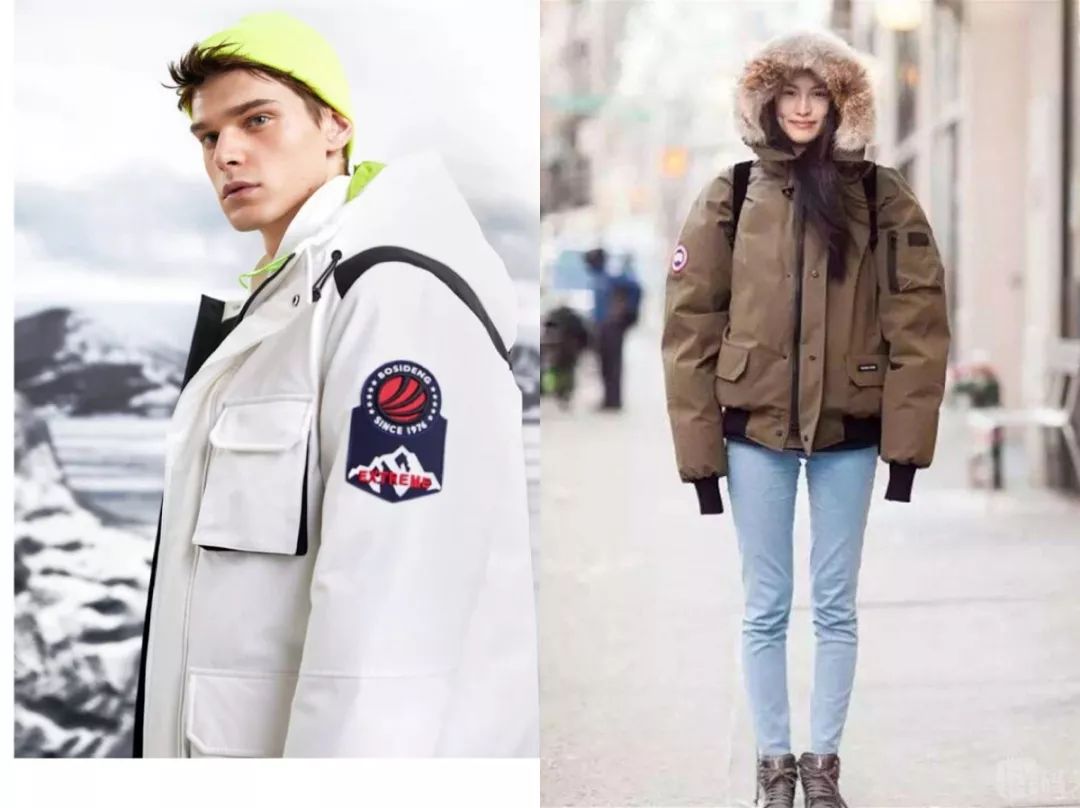 加拿大鹅与波司登买哪个,波司登和加拿大鹅差距在哪里