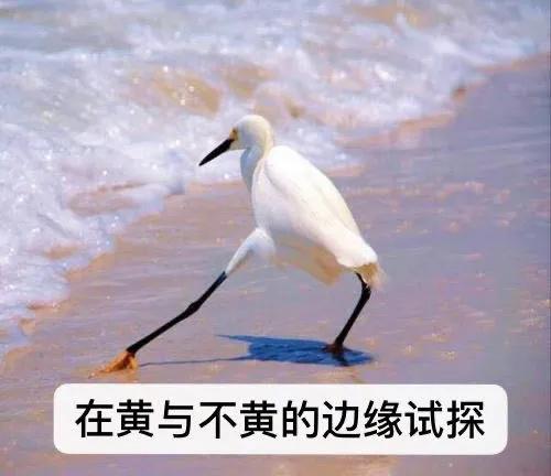 长春巴黎春天被接手了么,长春巴黎春天改名了吗