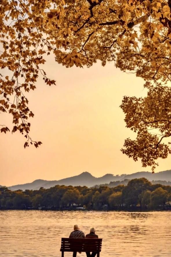 金星录综艺镜头全被剪掉,和芒果台闹掰的明星