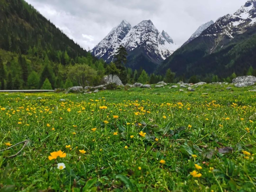 人的一生一定要去一次四姑娘山,四姑娘山适合一个人吗