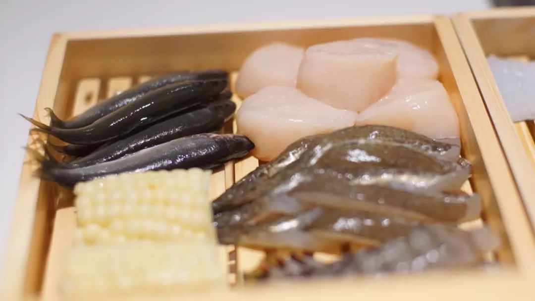 海错图爱情笔记写的是什么,海错图笔记中的错