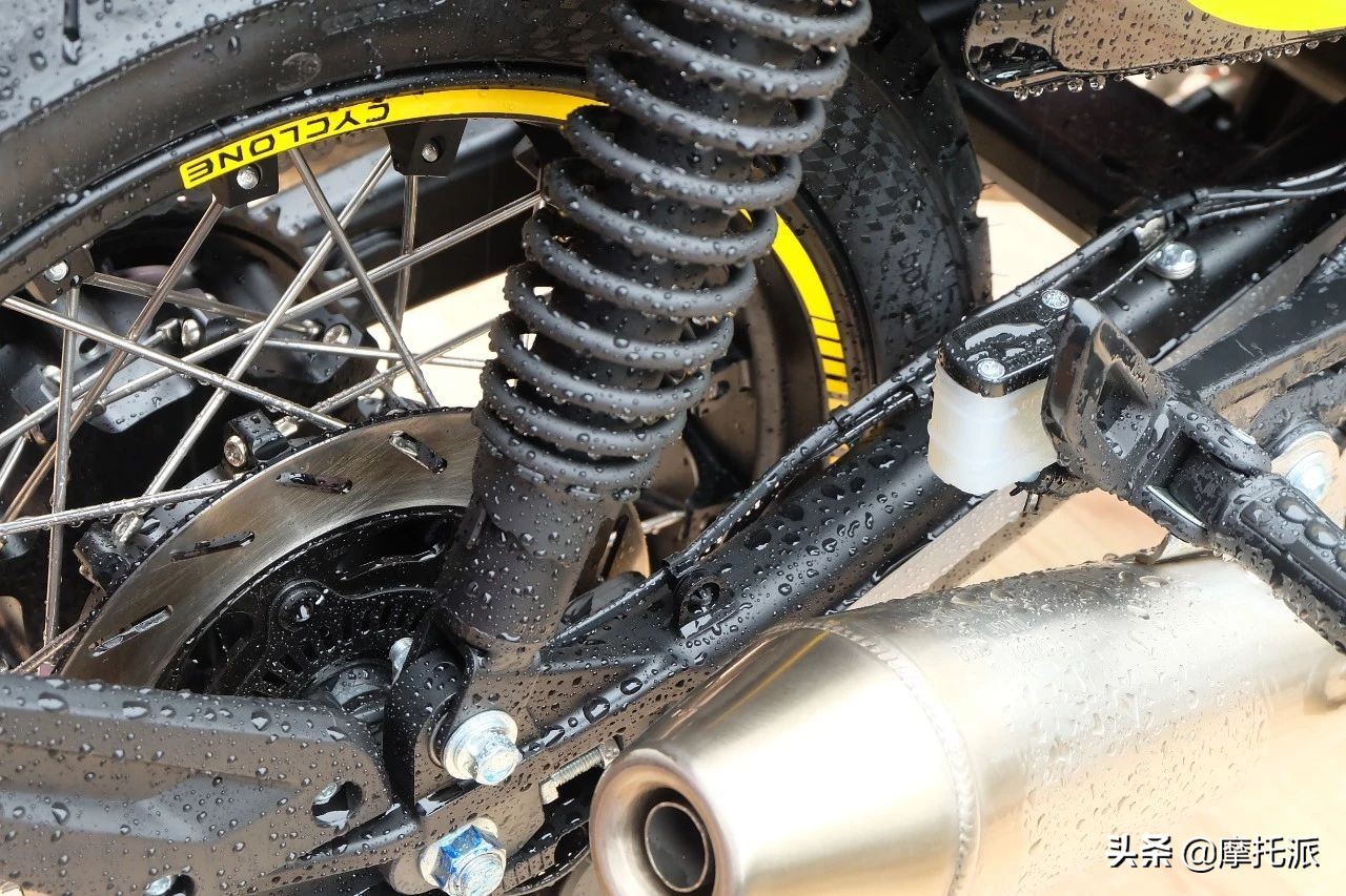 赛科龙2020新品发布，关键词“保持冷静，耐住寂寞，觉醒绽放”