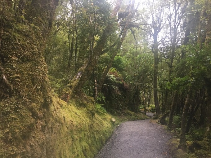 让你不出国就可以拍出欧洲即视感,让你不出家门就能看到江南的美景