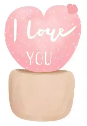 情侣的浪漫旅行,夫妻二人的浪漫旅行