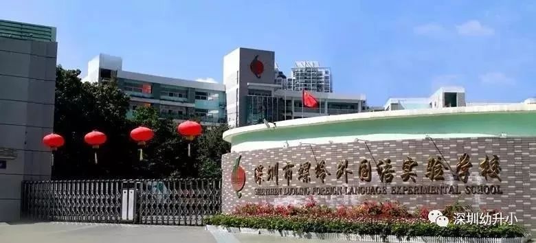 深圳最新的重点小学排名,深圳各区排名前十的小学