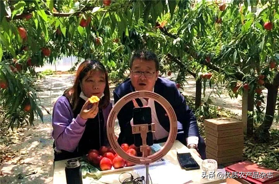 这颗桃不一般!看麻兰油桃如何“桃”人欢心