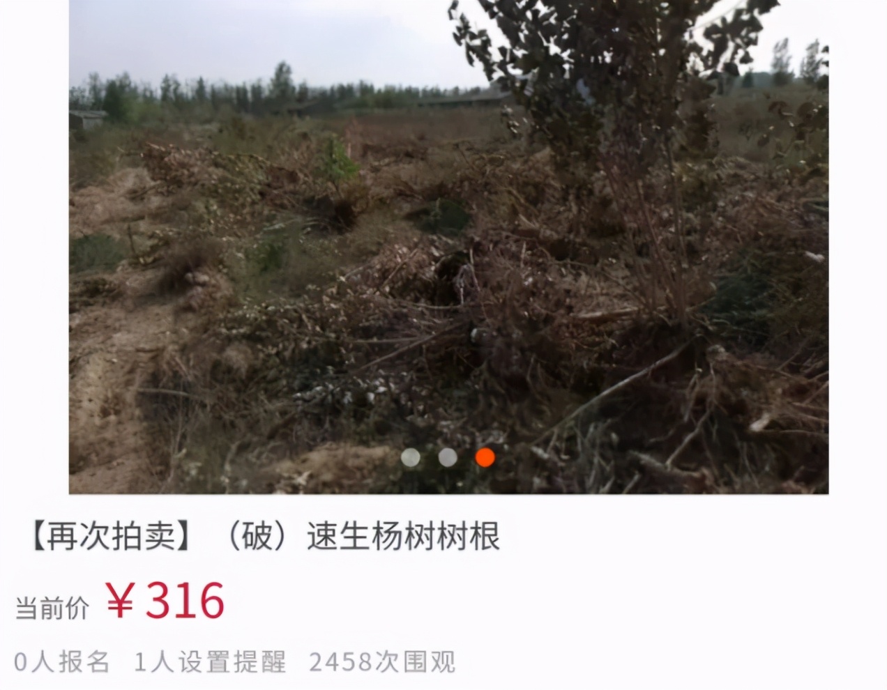 80元游戏卡牌拍出8700万元天价,八十万游戏卡拍卖