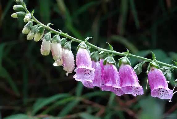 怎么用一招对付身边的小人,怎么解决小人最好的办法