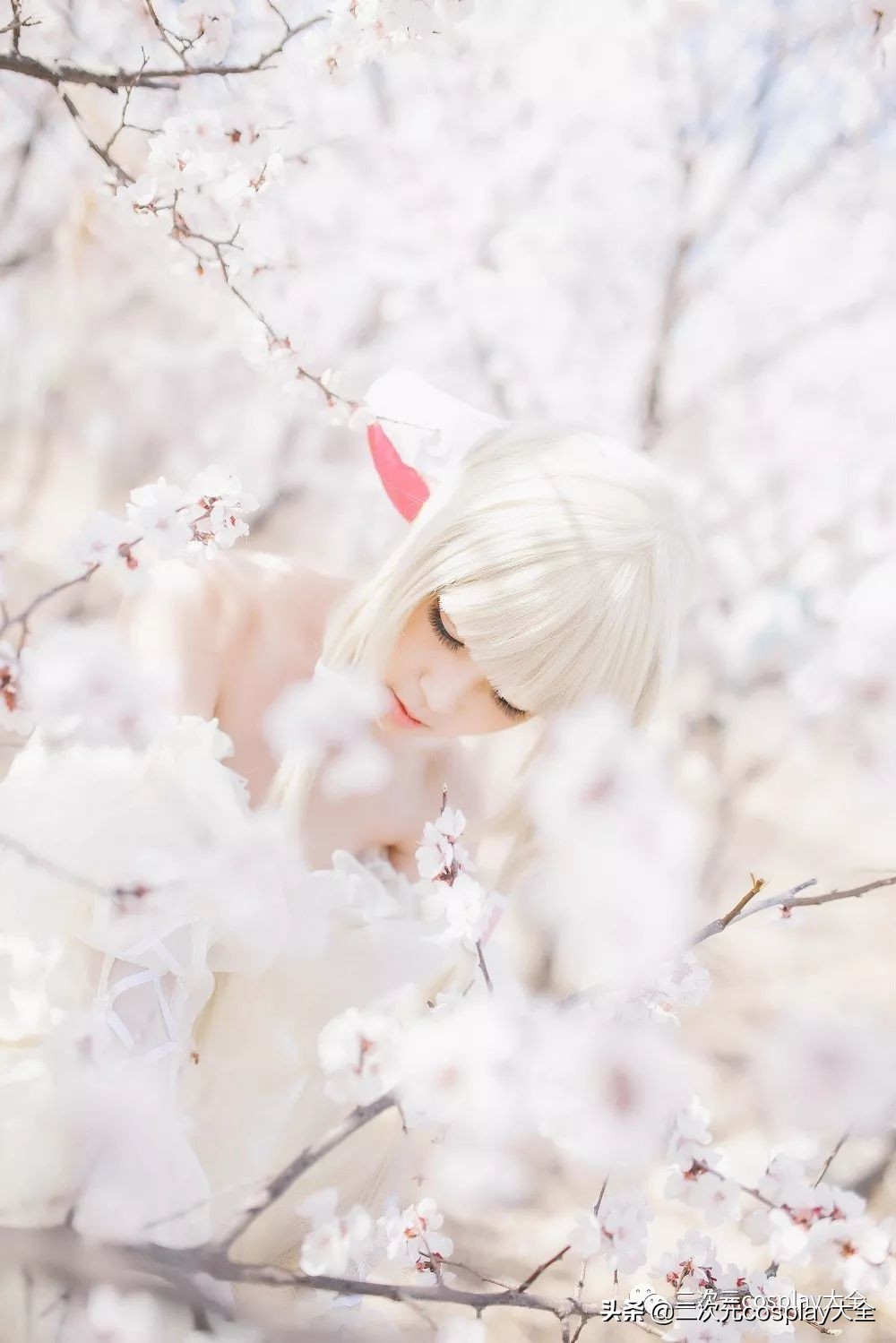 cos和工作一样,要认真,同时也要有兴趣和激情:专访君陌