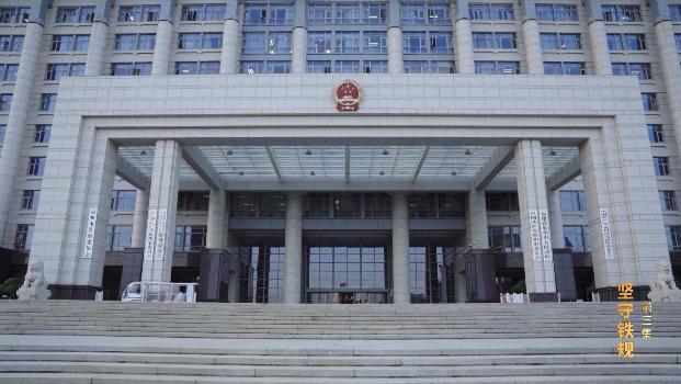 正风反腐就在身边纪录片简介,观看正风反腐坚守铁规观后感