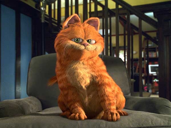 你是否也是猫奴呢？这只好吃懒*爱做**欺负其他动物的肥猫你还记得吗