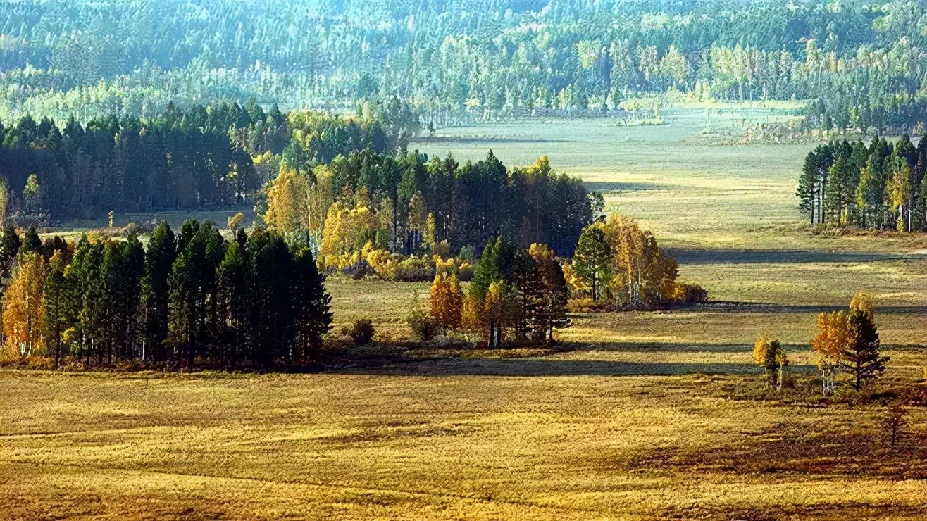鬼吹灯作者为什么收入那么少,鬼吹灯的真实作者知乎