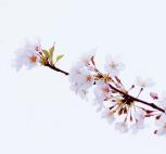 今夏值得买的衣服,今夏需要什么衣服