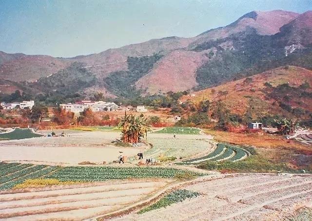 身价1500亿的富豪遭劫持，让我想起10.38亿赎金的香港第一绑架案