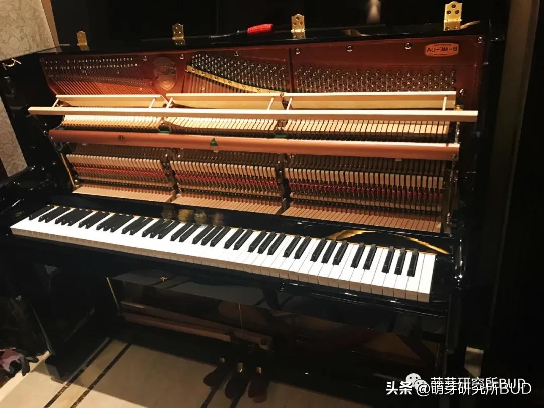 电钢琴和电子琴怎样组合,钢琴电子琴电钢琴区别